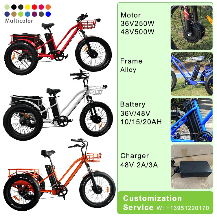 New Arrival  Three Wheels Cargo Ebike Aluminum Lithium Battery Disc Brake 500W 24/20 Inch Fat Tire Electric 3 Wheel Bicycle