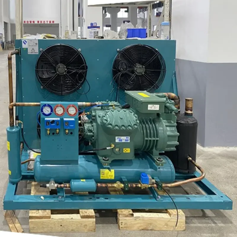 Single Phase Gas R404 Bitze Refrigeration Compressor 25hp 20hp 30hp 15hp 12hp 10hp Freezer Cold Room Industrial Condensing Unit