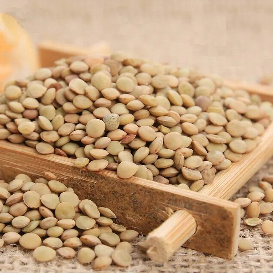
Natural growth Chinese lentils 15% moisture bulk dried lentils 