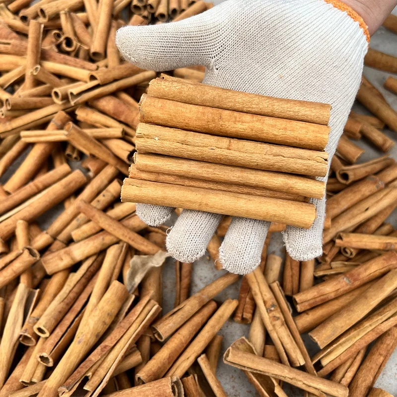 Guangxi WW Organic Dried Cinnamon Sticks Natural Raw Cinnamon Powder China New Crop Reasonably Priced Cassia Cinnamon Sticks