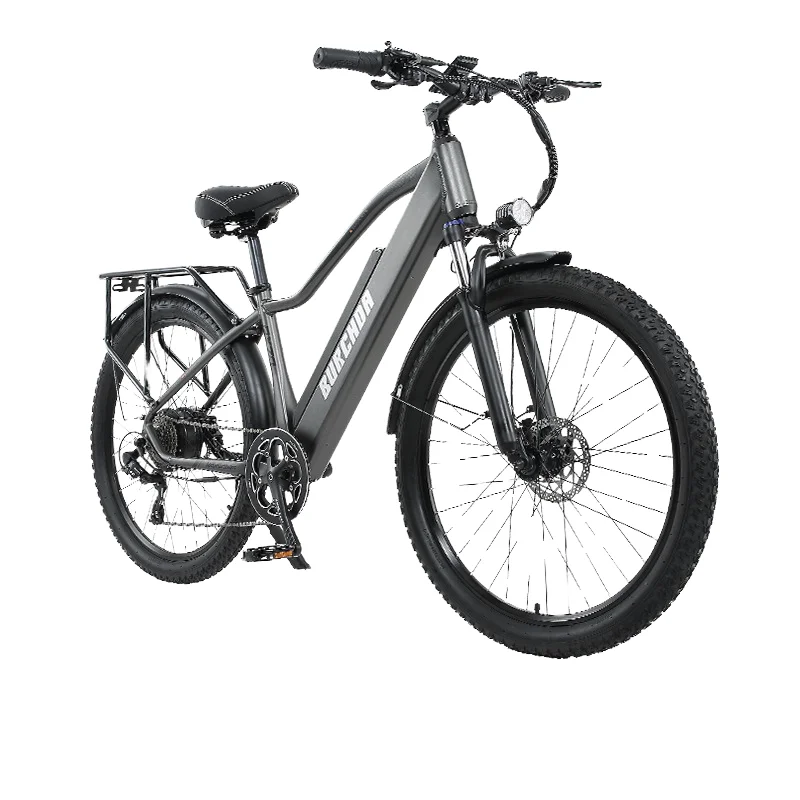 High Quality Customized 800W/48V/20AH Electric Mountain E-Bike New Design Powerful Lithium Aluminum Direct China Manufacturer