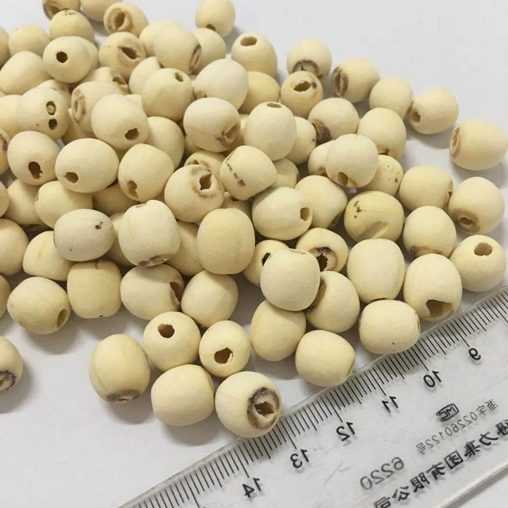 High quality Vietnam lotus seed black lotus seed for sale