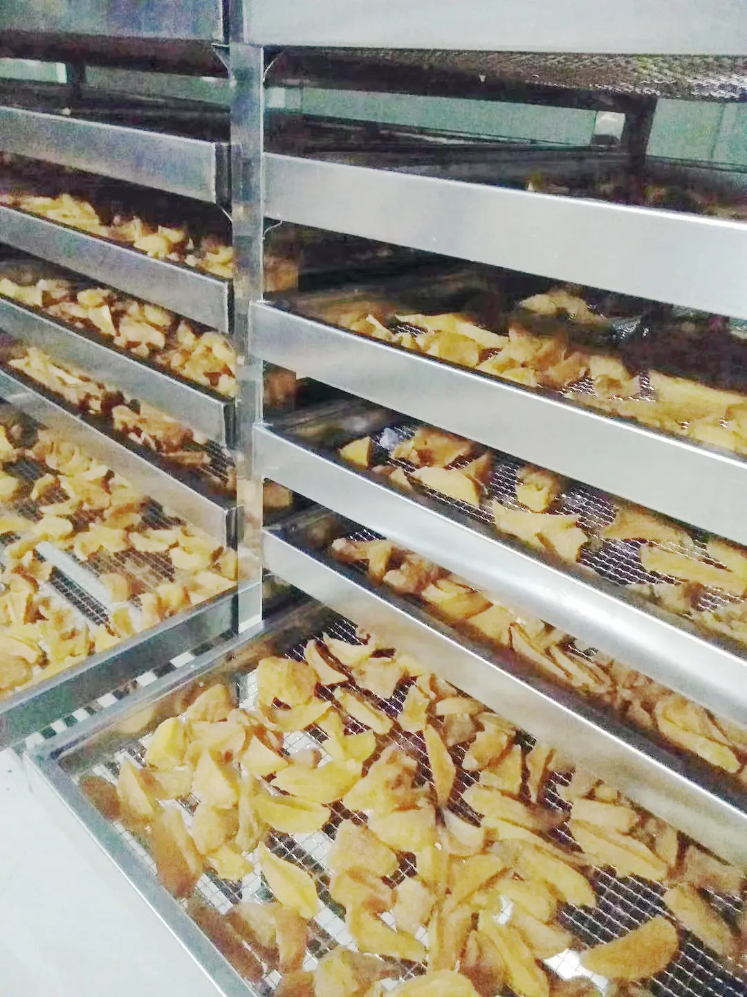 AIM Energy Saving Heat Pump SS 304 Tray Type Red Dates Black Currant  Raspberry Loquat Dryer Drying Machine Equipment Dehydrator