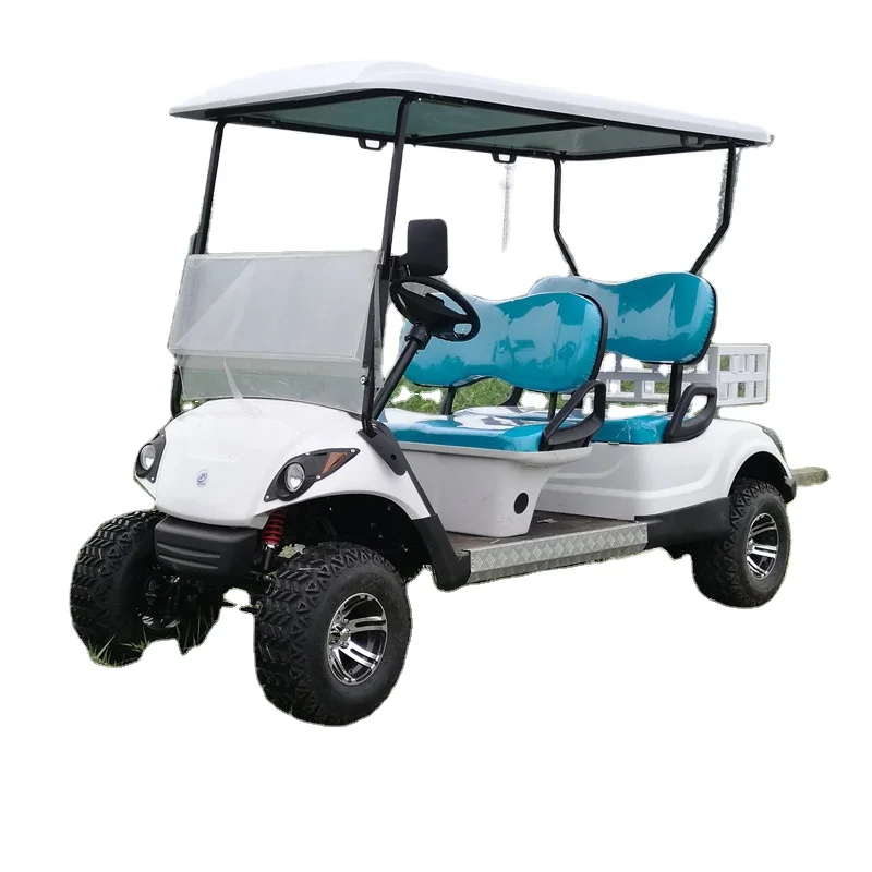 2 and 4 seats golf kart with gas power for sale