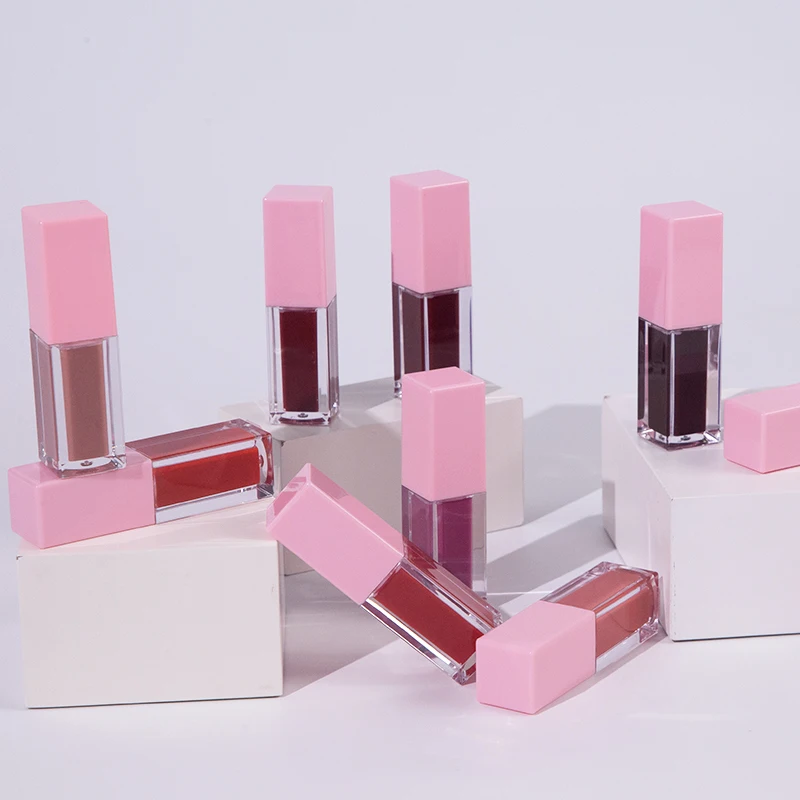 OEM ODM Factory Dark Skin Use Make Up Vegan Waterproof Long Lasting Moist Lip Cosmetics Lip Gloss Supplies