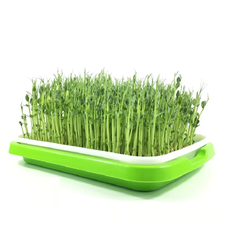 Hot sale Skyplant plants growing nursery seeding fodder trays for hydroponics
