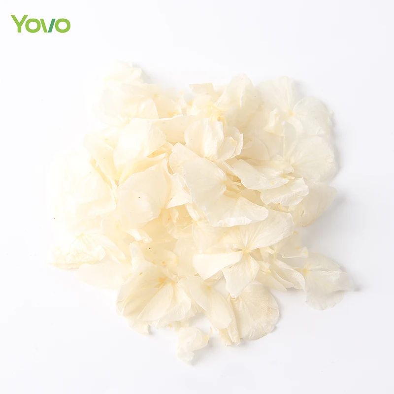 Top Quality Dried Hydrangea Petal Biodegradable Ivory White Petal Beige Hydrangea Petals for Wedding Confetti Soap Candle Making