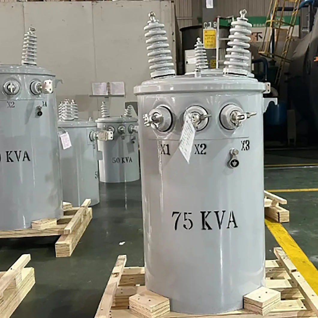 Versatile pole-mounted transformer, 13.2kv input, 25-167kva, step-down to various secondary voltages