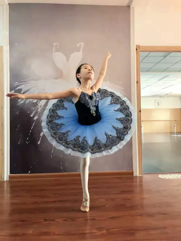 Purple Tutu Professional Women Swan Lake Pancake Girls Ballet Tutu Adult Tutu Competition Costume Dress