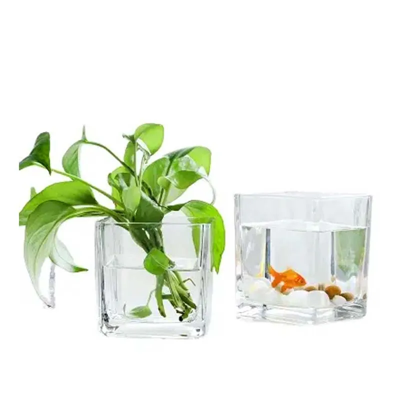 Customized Simple Indoor Decoration Square Glass Cup Succulent Plant Cube Flower Glass Basin Clear Glass Vase