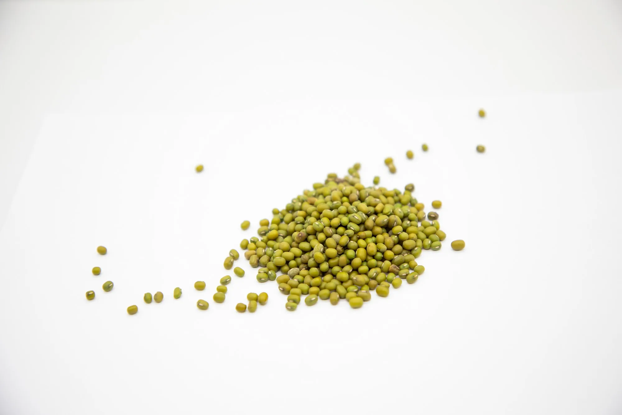 Organic green mung beans 100% natural high grade vigna beans for sprouting from Uzbekistan manufacturer
