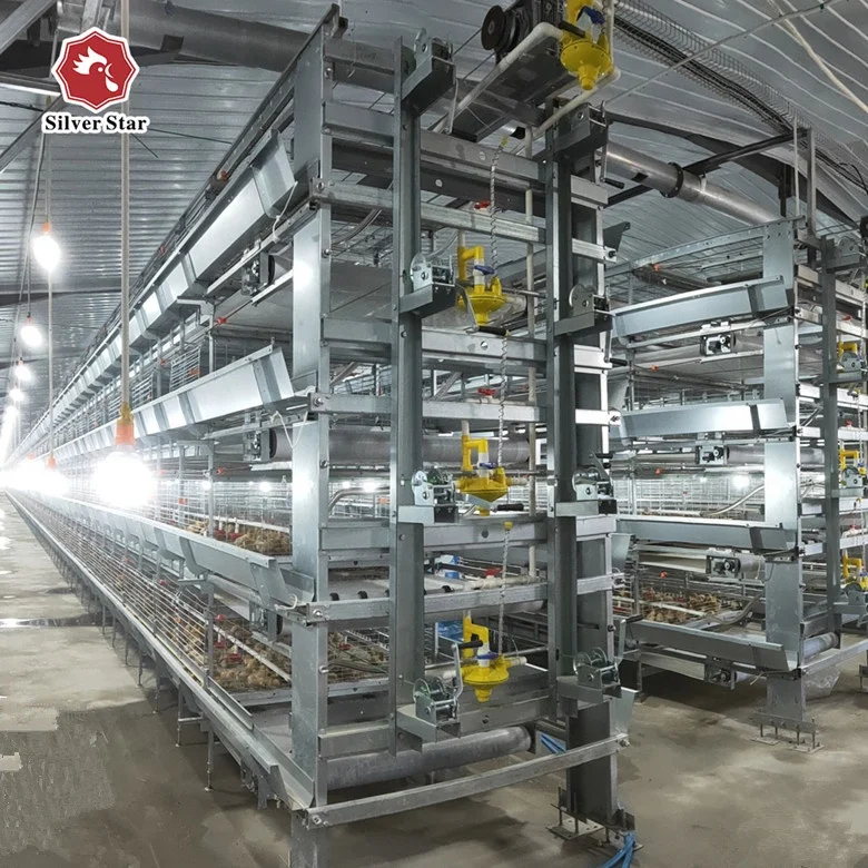 Chicken cage automatic broiler farm equipment /farm cage for day old growing broiler
