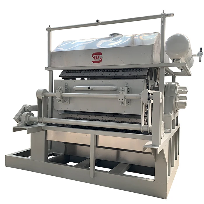 4000pcs/hr Automatic Paper Pulp Waste Paper Egg Tray Carton Box Dish Machine For Large Quantity Production Line