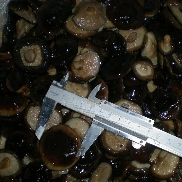 
canned shiitake mushrooms 3100ml 