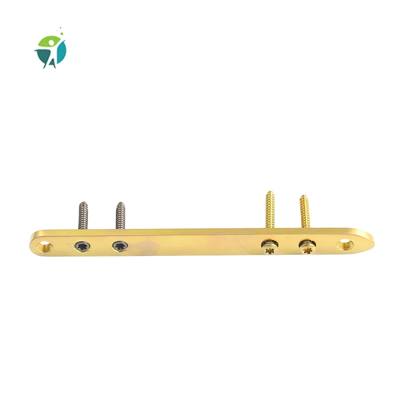 Trauma Fracture Fixation Orthopedic locking plate Small T type Locking Plate for animals