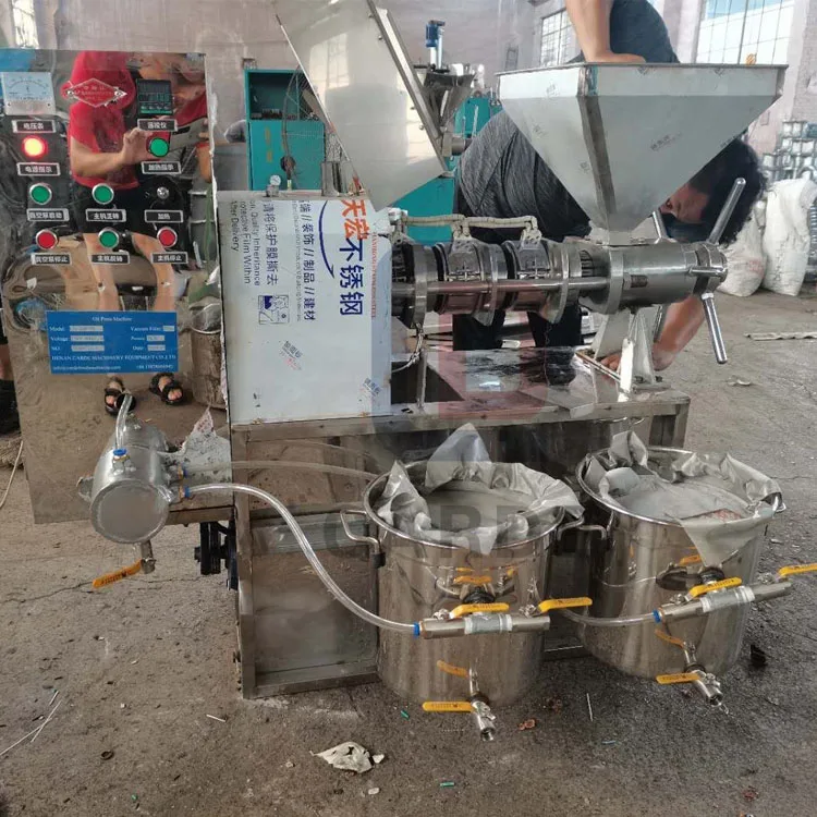 Automatic vegetable oil cooking cold press machine macadamia oil press machine oil pressers press machine for sale