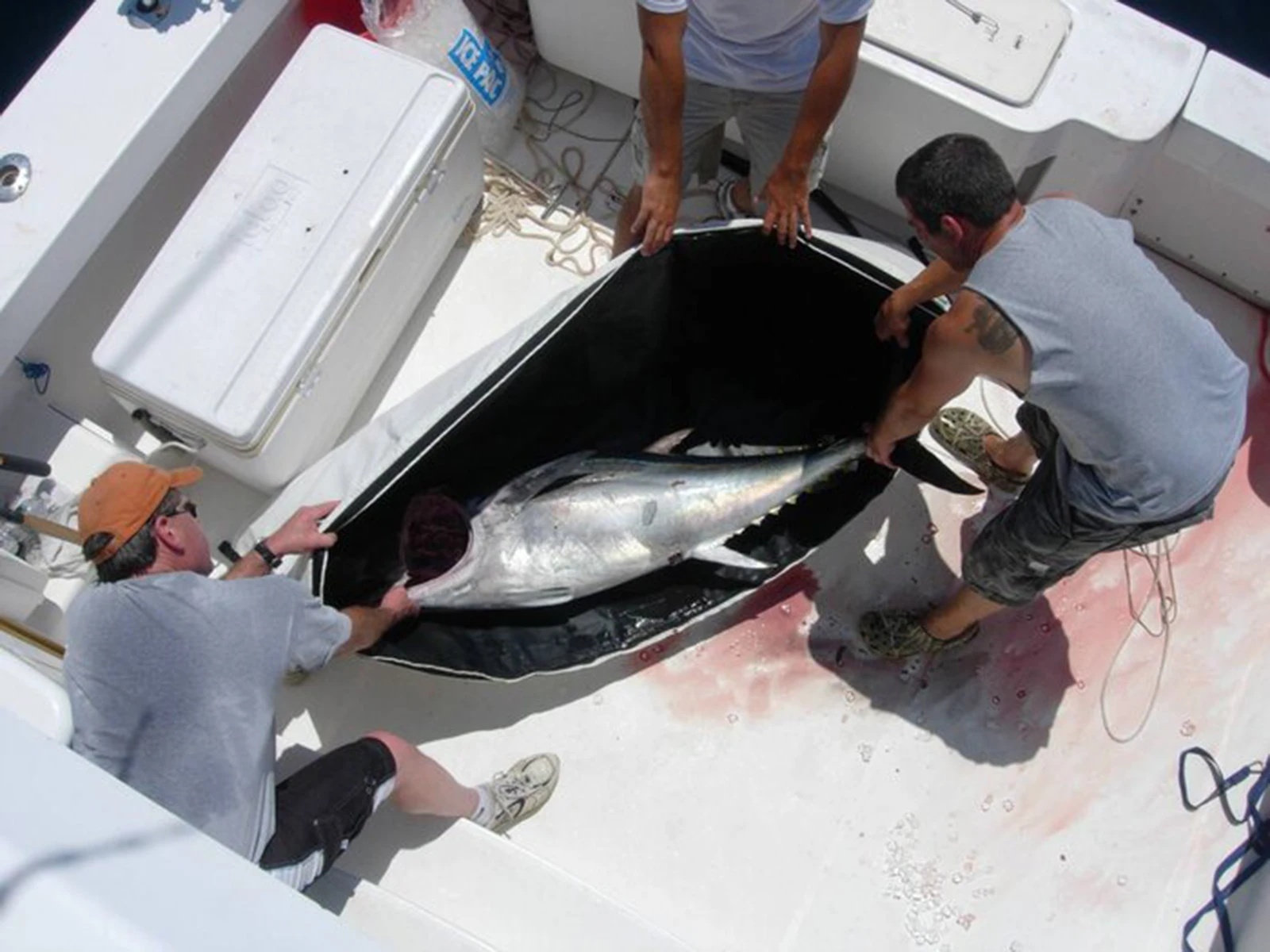 Buffalo Gear Insulated Larger Fish Cooler Bag 72*30in Leakproof Fishing kill Keep Ice Cold Fresh Portable Custom Fish Cooler Bag