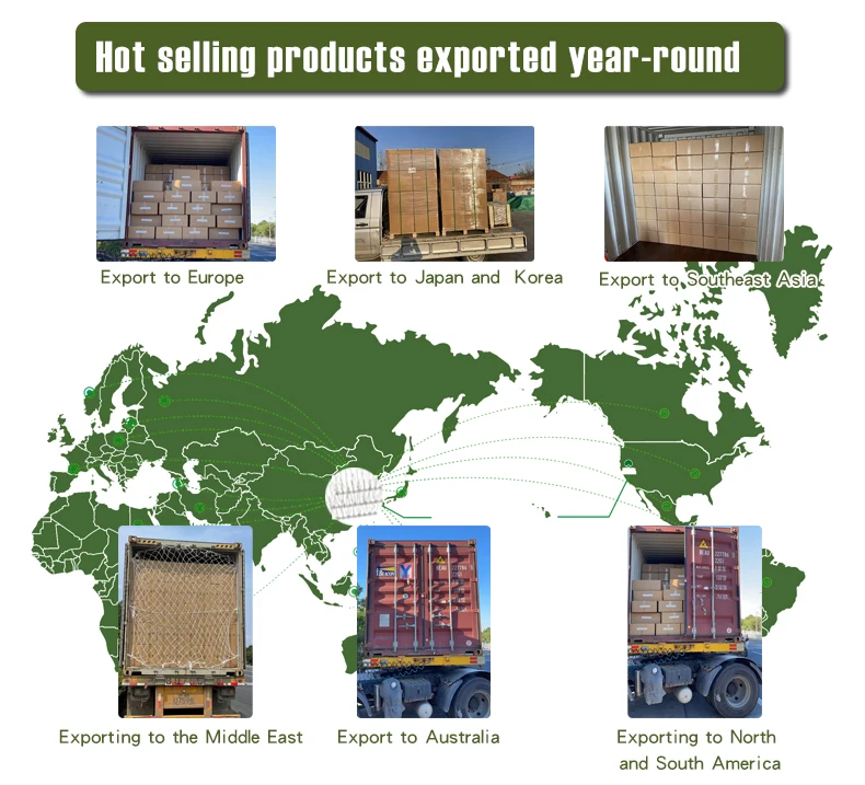 DYSC plastic bird spikes crow rabbit deterrents tire spikes cat caltrops spikes indoor for trespassers