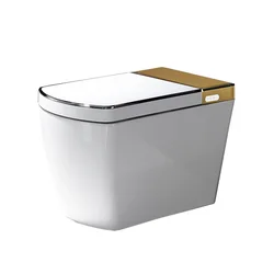 Electric wc gold intelligent bidet smart toilet without tank