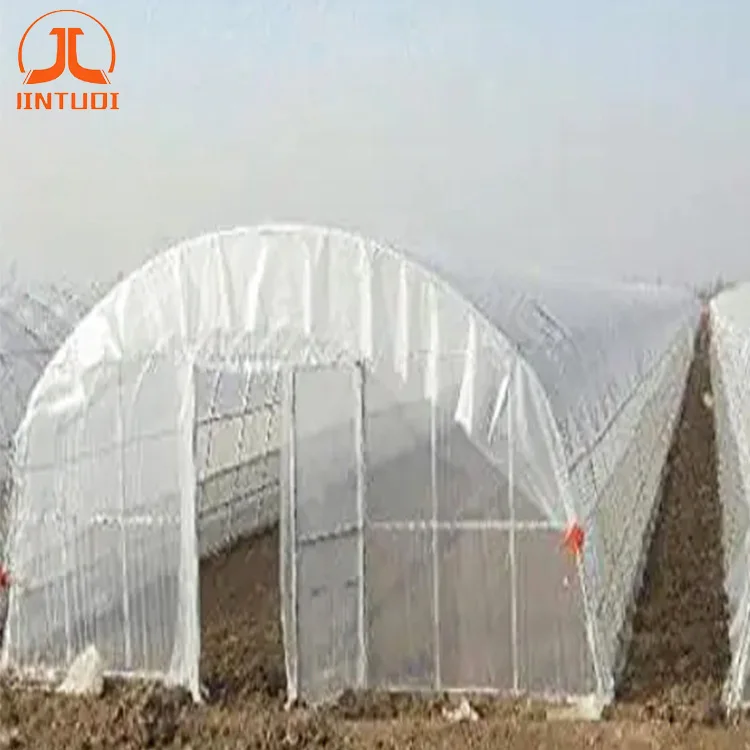 Green house plastic film anti-ultraviolet ldpe film greenhouse film roll