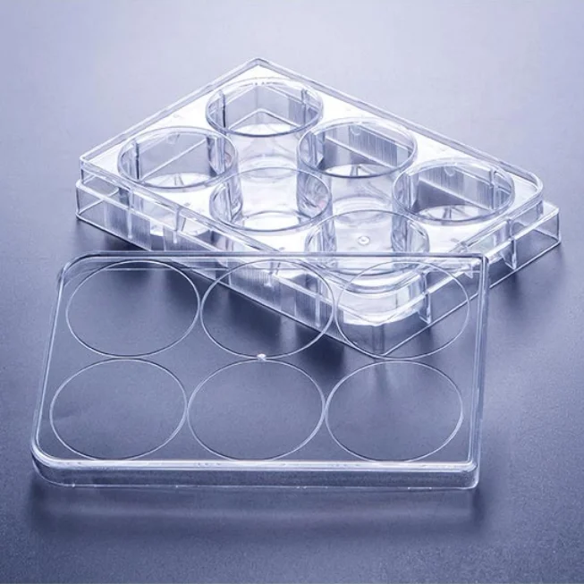 Hot Selling 6 Well Plastic Adherent Cell Cuture Plate Y-ray Sterile Cell Culture Plate With Lid