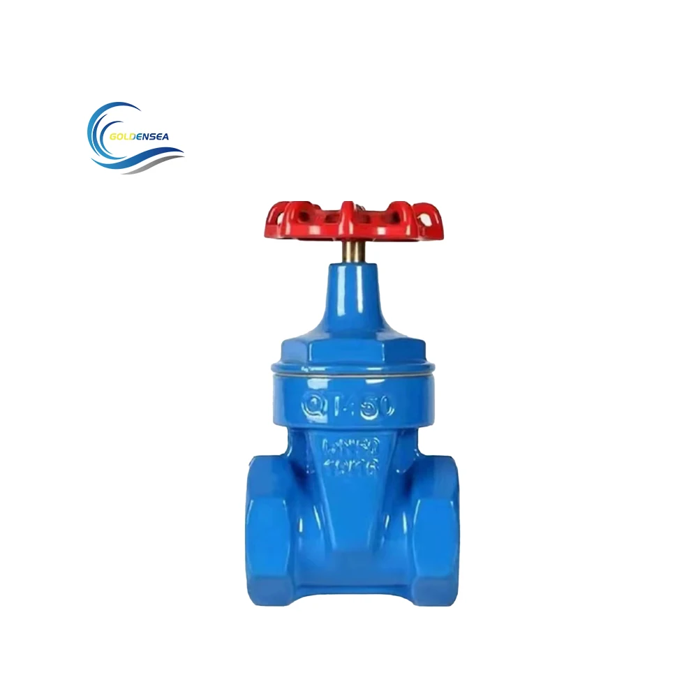 Cast Iron Customized Stem Ductile Iron Resilient Wedge Disc Seat Gate Valve