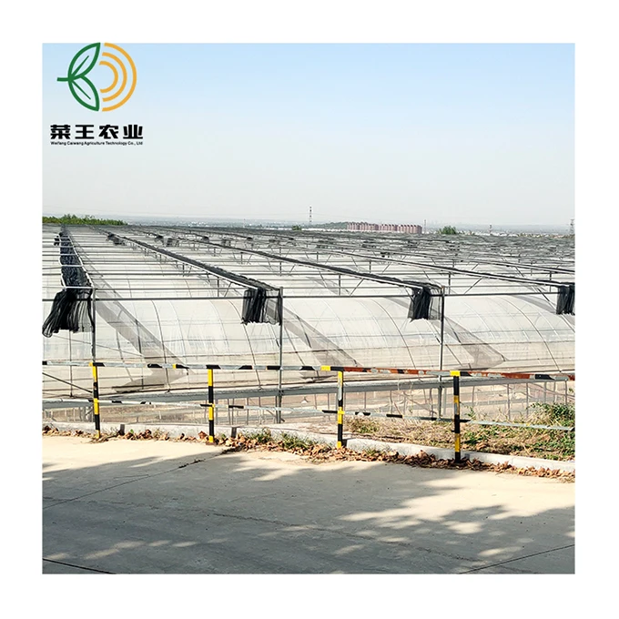 
Multi-span Plastic Film Greenhouses Hydroponic Greenhouse Strawberry Greenhouse Turnkey Project 