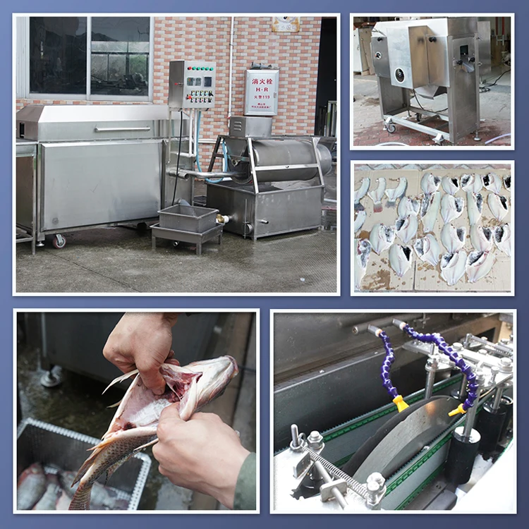 XXD High-yield and low-energy commercial customized fish process machineryer