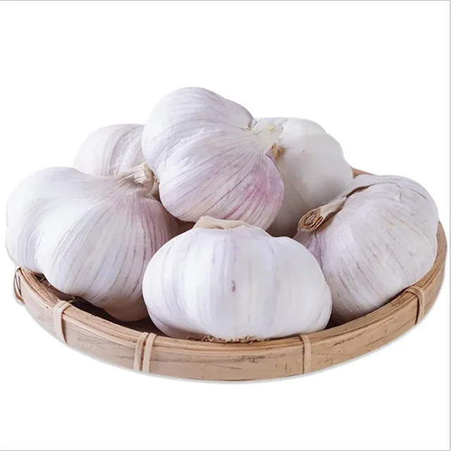 Wholesale high quality new crop original Dry fresh pure white garlic