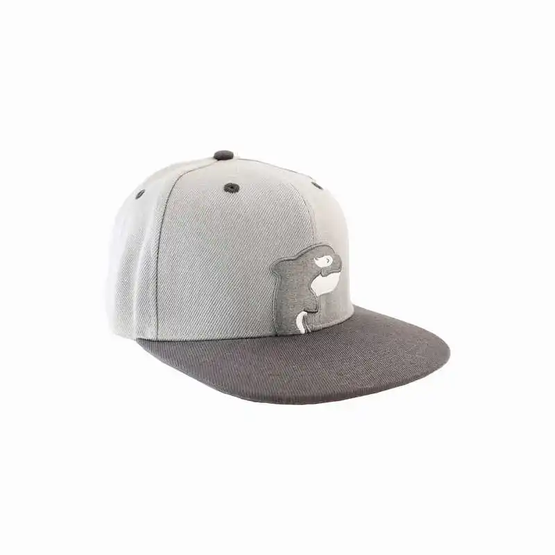 Customized Cotton 5 Panel A Frame Embroidery Snap Back Solid Color Logo Customized Blank Baseball In Two-Tone Hats