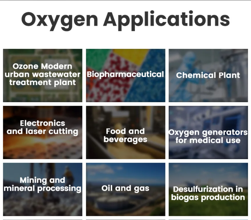 NEWTEK Oxygen Gas Plant Oxygen Generator Medical Oxygene Production Plant Provide On-site Installation Free Services