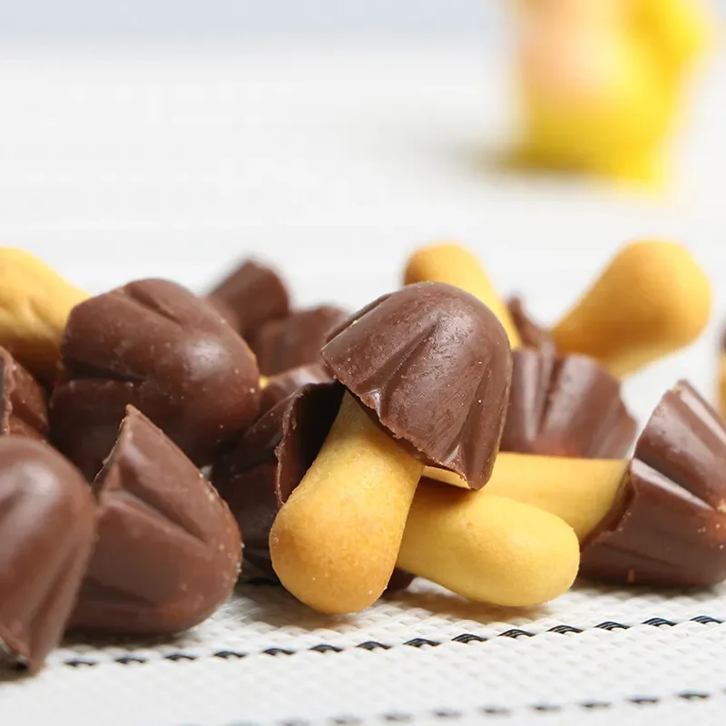 Wholesale Best price Chocolate-coated cookies in mushroom shaped 48g for kids