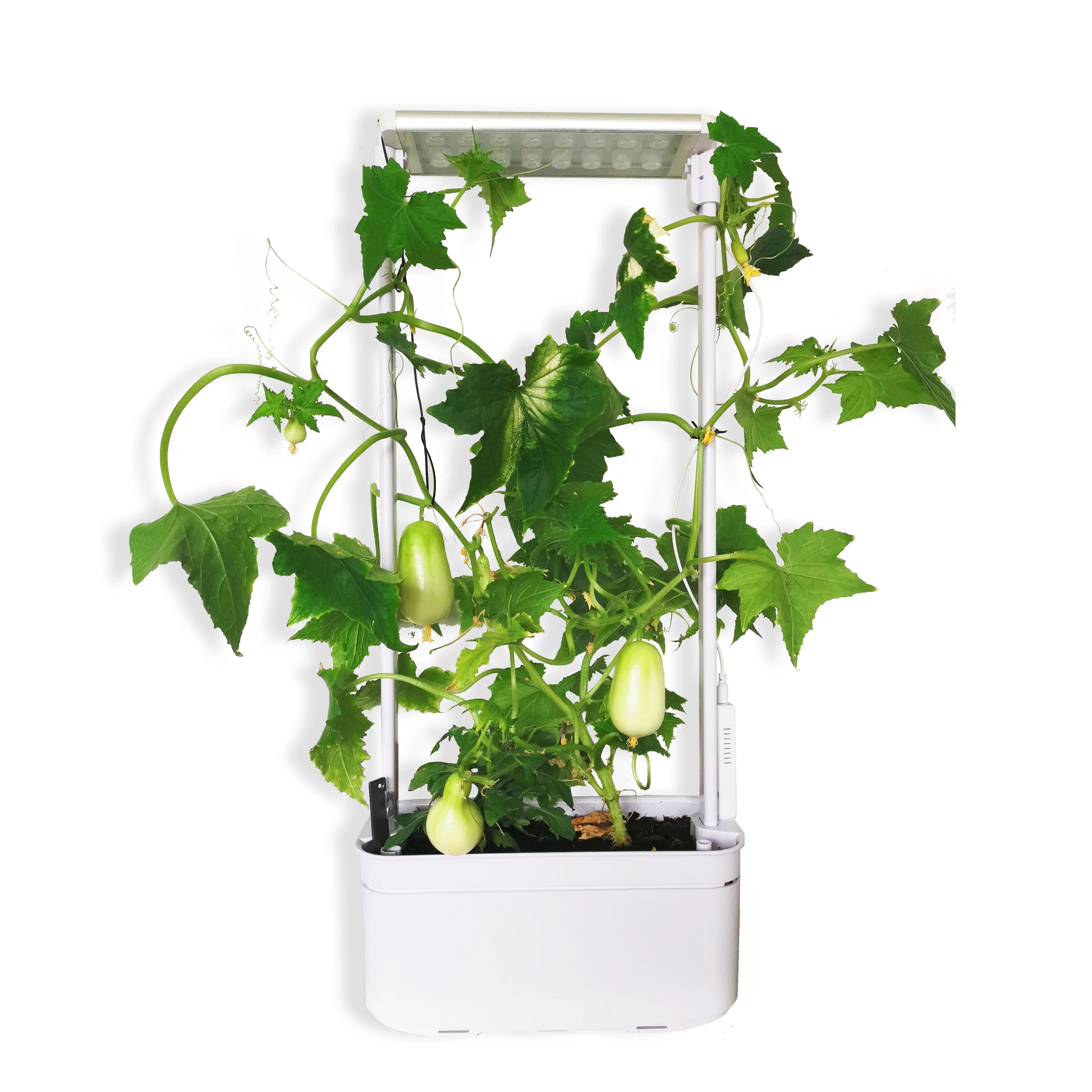 smart garden growing plant led hydroponics grow pipe hydroponics system grow kit 6 pod hydroponic indoor grow system
