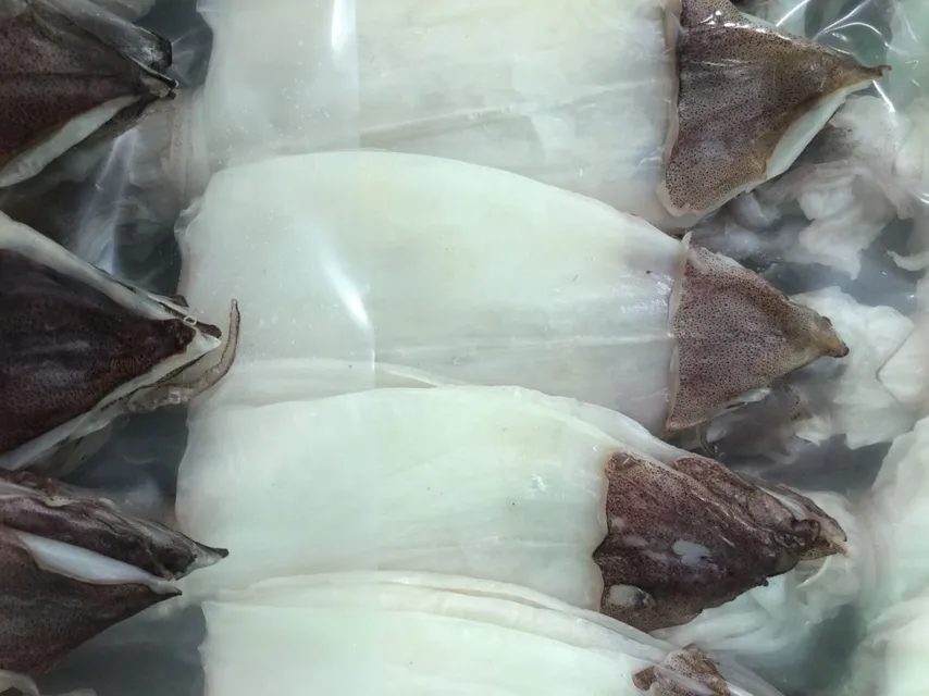 
Dried Squid skinless 
