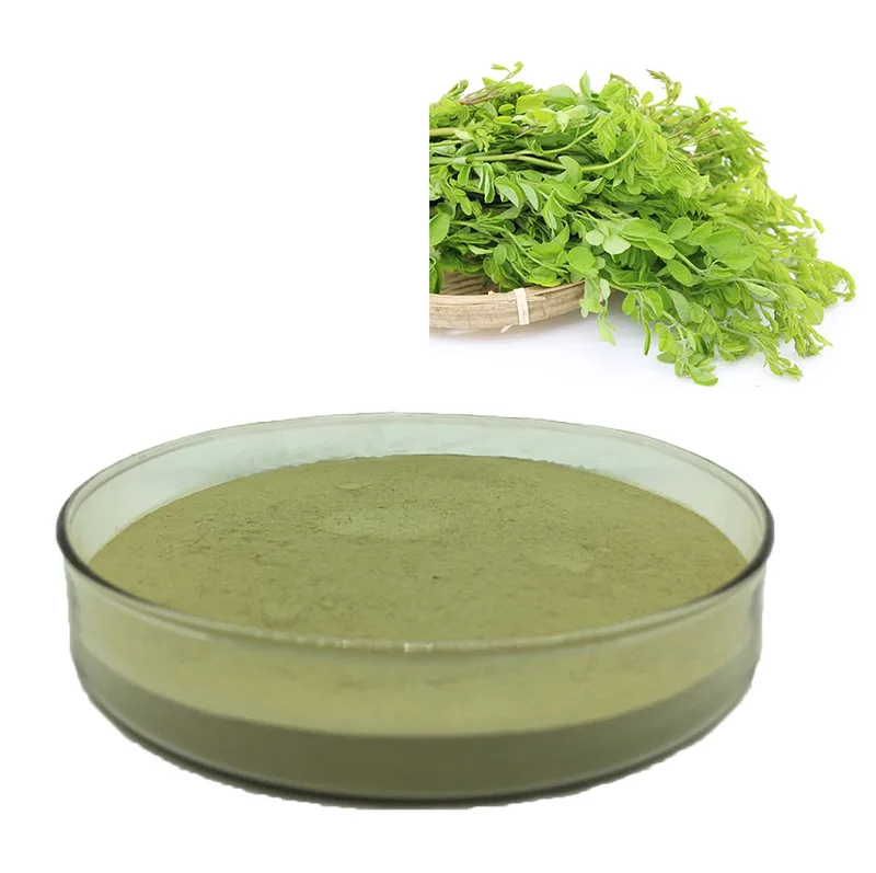 Best selling products Moringa Oleifera P.E Drumstick tree Miracle tree Moringa oleifera leaf extract powder