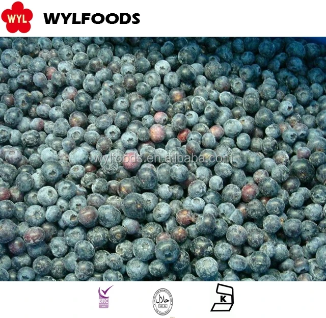 Organic IQF Frozen Blueberries Sweet Taste Best Price Good Quality Bulk and Vacuum Pack for Wholesales