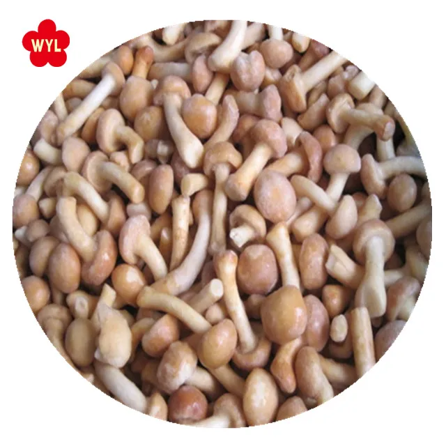 High Quality Iqf Frozen Nameko Mushroom for frozen mushroom