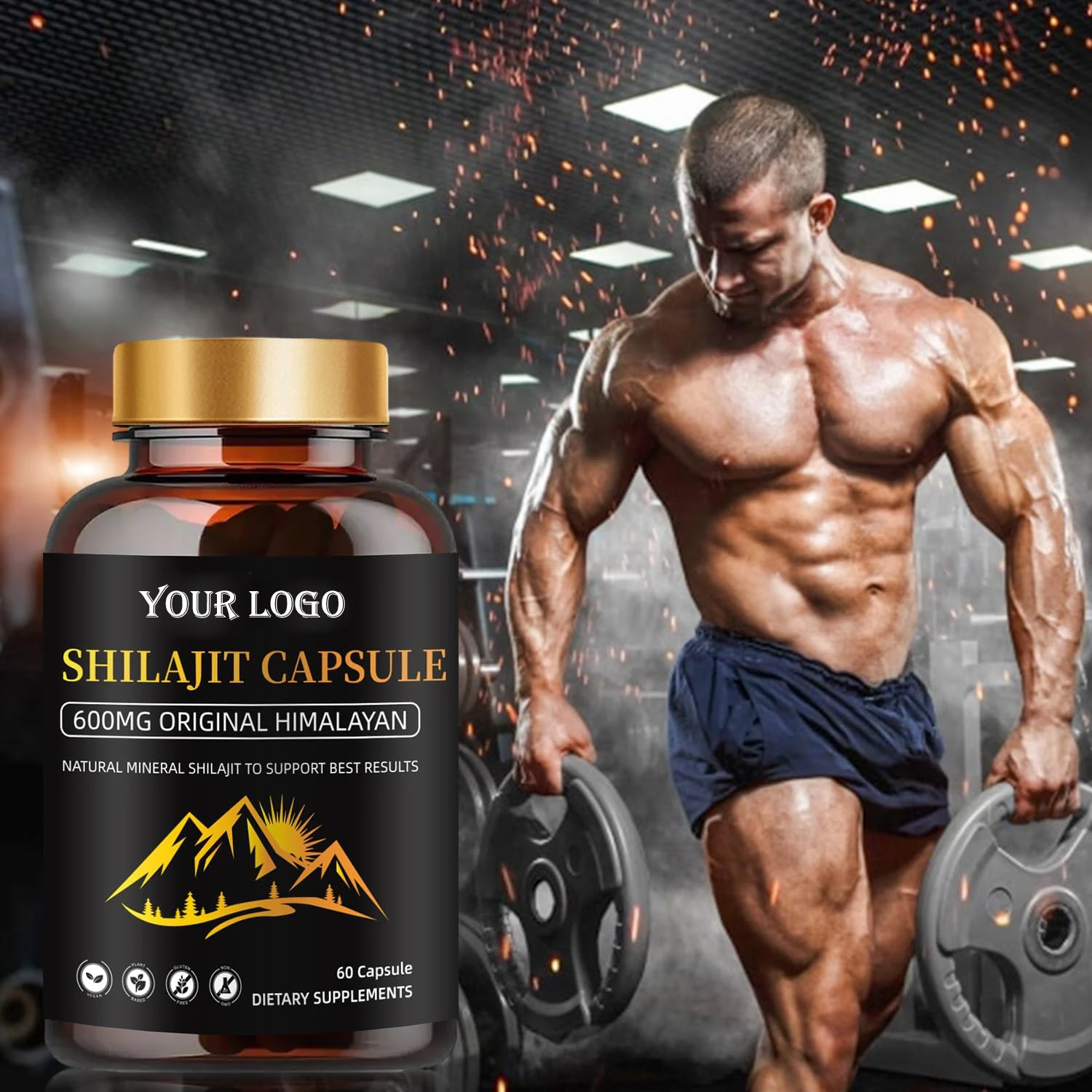 OEM/ODM Professional Organic Shilajit Capsules  Authentic Tablet Health Supplement for Energy Immune Support Anti Aging