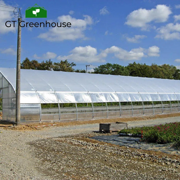 Качественный Hoophouse для выращивания