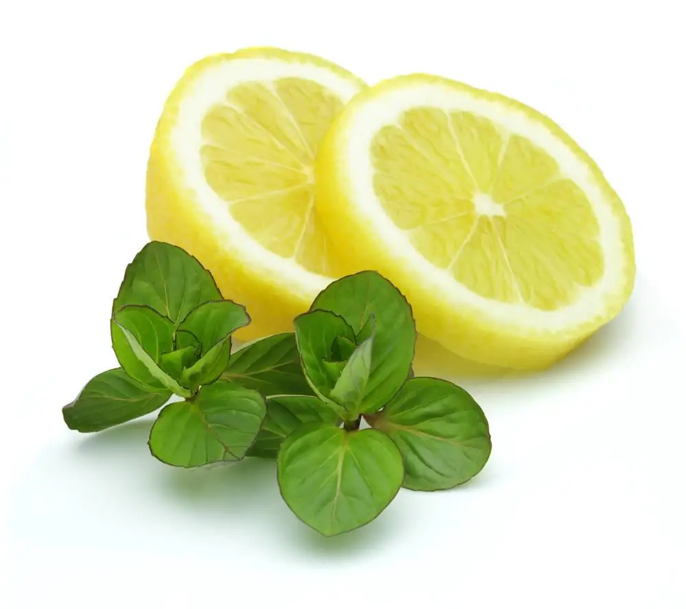 High quality fragrance oil for diffuser concentrated fragrance oil for air freshener concentrate fragrance for car perfume
