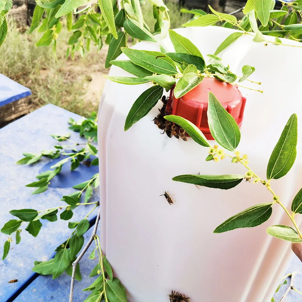 Hot selling Yemen bee honey natural sidr 28 kg gallon