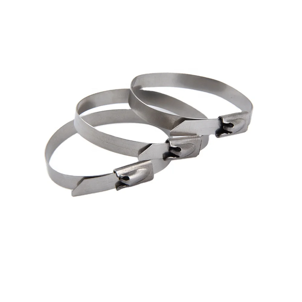 Hot Selling Cheap Custom Tigger Teeth Reusable Stainless Steel Cable Ties Gun Tensioner