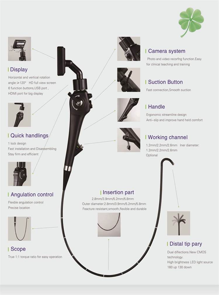 aneasthesia endoscope
