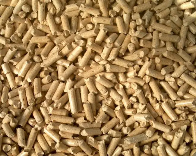 
Camel Breeder Feed 