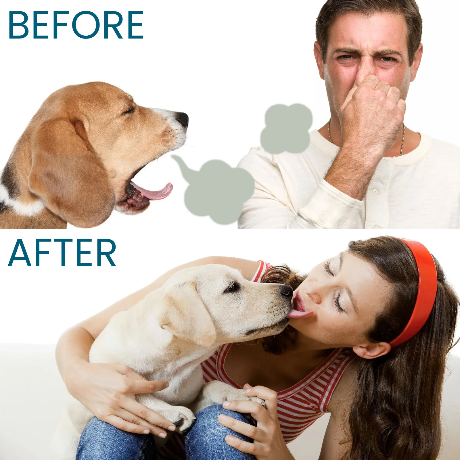 Multi-Purpose Oral Care Set for Dogs and Cats Odor Removing Fragrant Oral Care Spray Dental Health Care Product