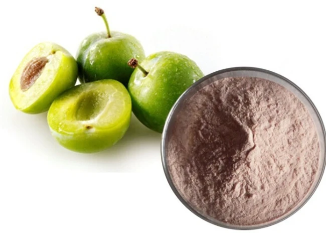 Factory supply hot selling high quality natural organic green plum juice seasoning powder green plum fruit extract powder