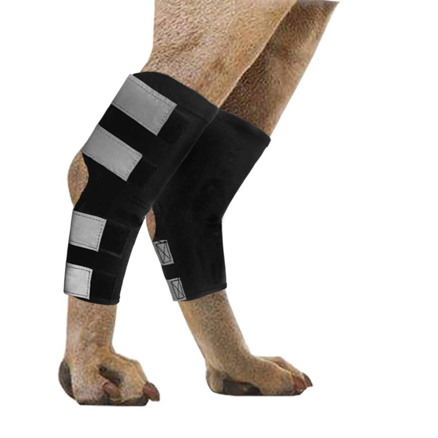 Amazon Hot Selling Customize  Recovery Protector Dog Knee Brace Orthopedic Dog Leg Brace Rear Hock