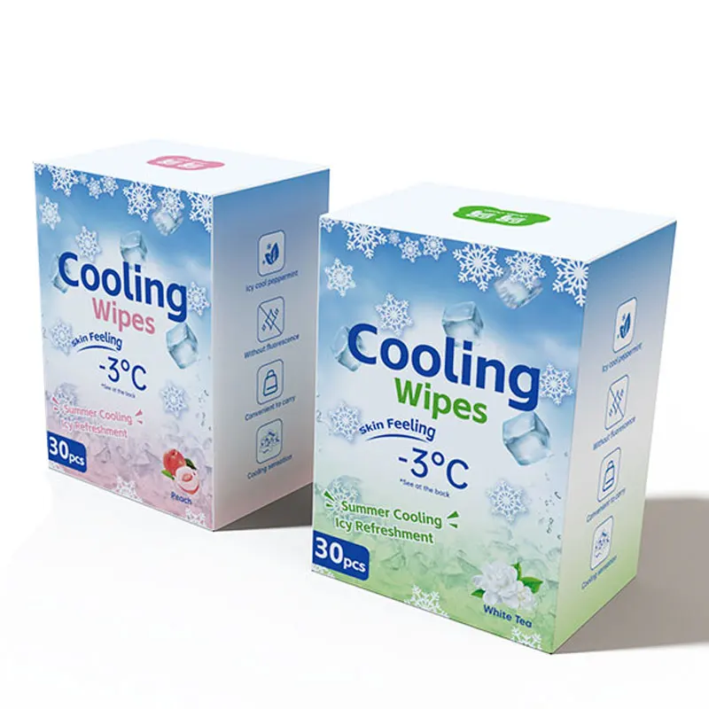 OEM ODM Adult Body Cleaning Wet Wipes Skin Care Wipes Ice Cool Wipes