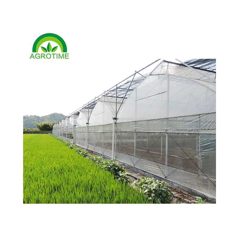 Low cost tropical greenhouse with top vent US strawberry green house multi-span poly tunnel greenhouses large area