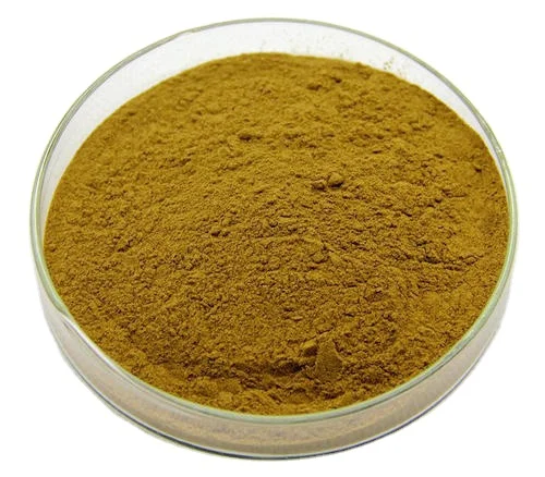 Factory Supply  Akebia Fruit Extract austral Fructus Akebiae Powder